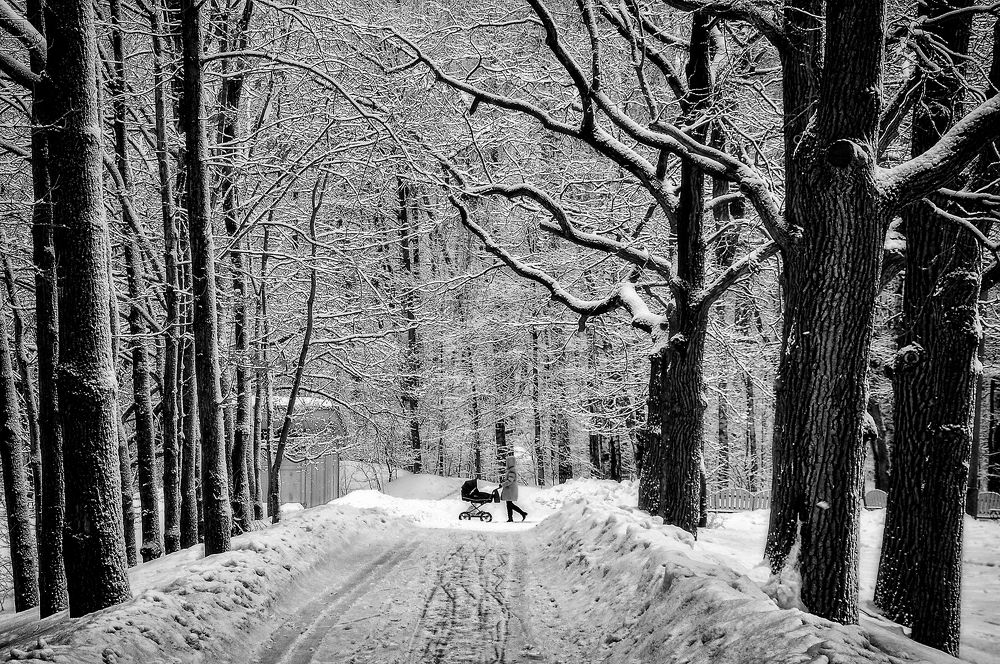 Photograph by Олег Тыркин