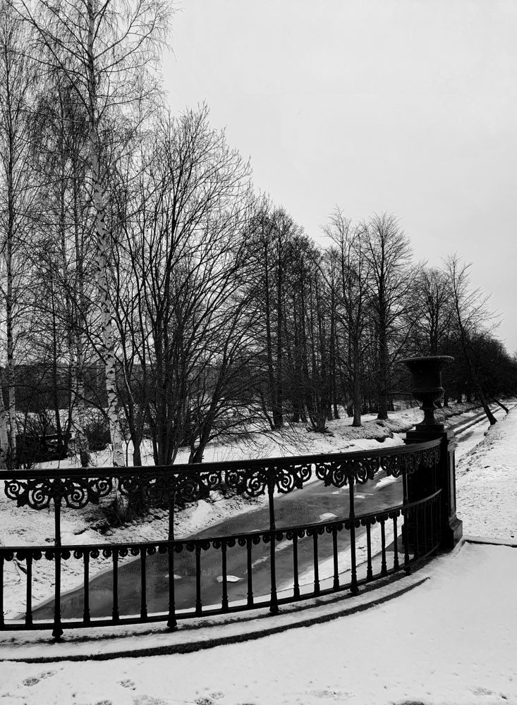 Photograph by Александра Борисовна