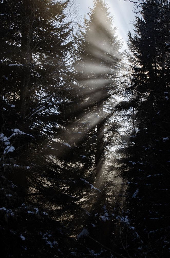 Photograph by Андрей