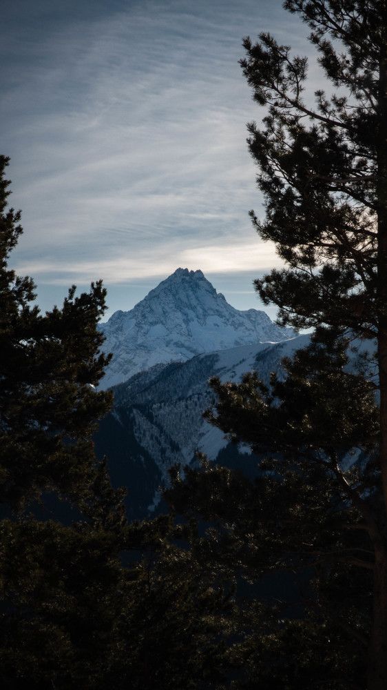Photo #11613245