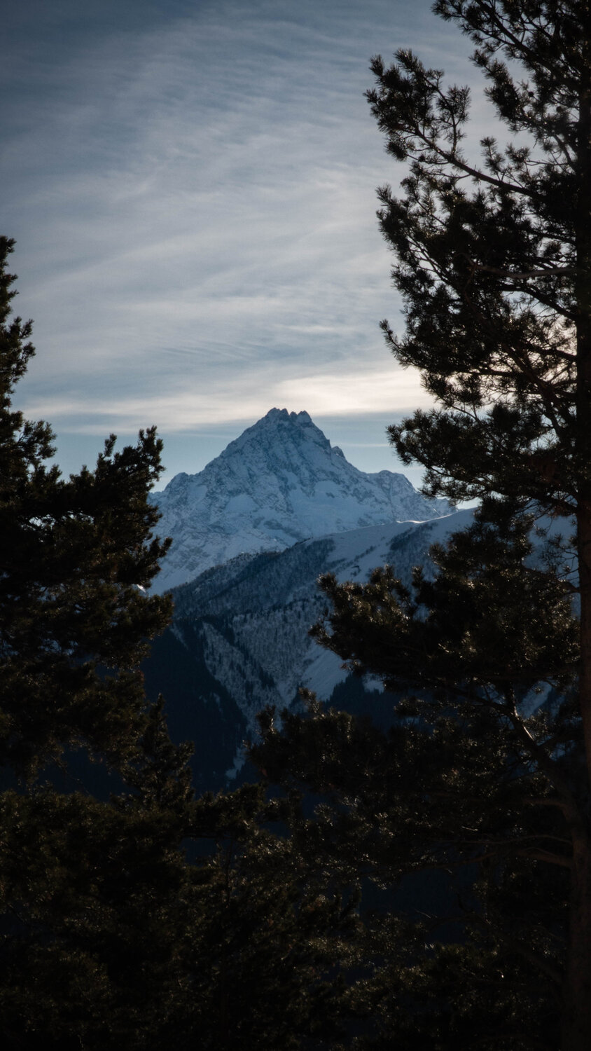 Photo #11613245