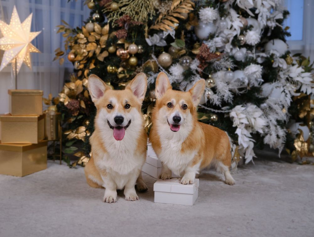 Photograph by Валерия Дурнева