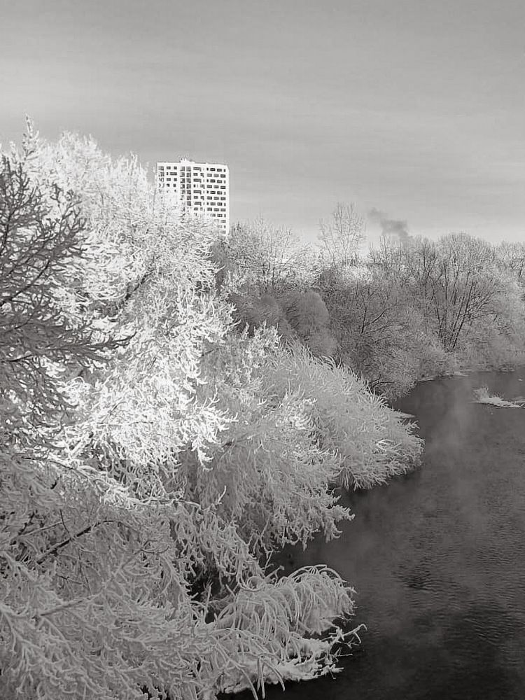 Photograph by Vera Romanova