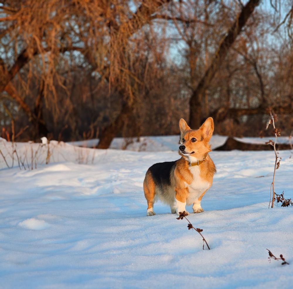 Photograph by Валерия Дурнева