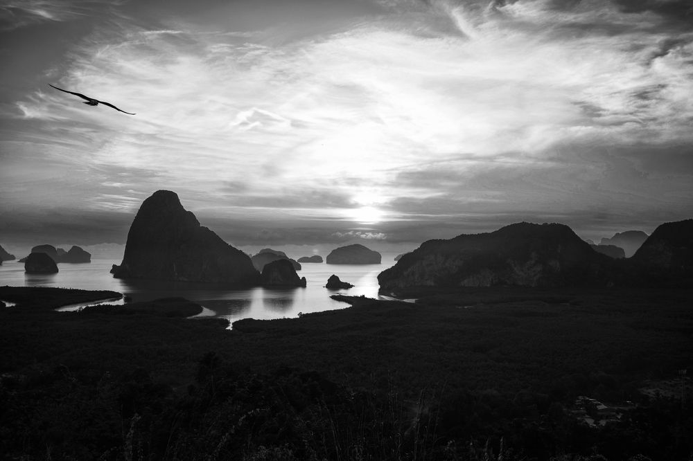 Photograph by Мария Сафронова