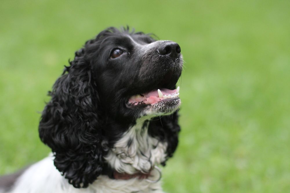 Photograph by Елизавета Мишина