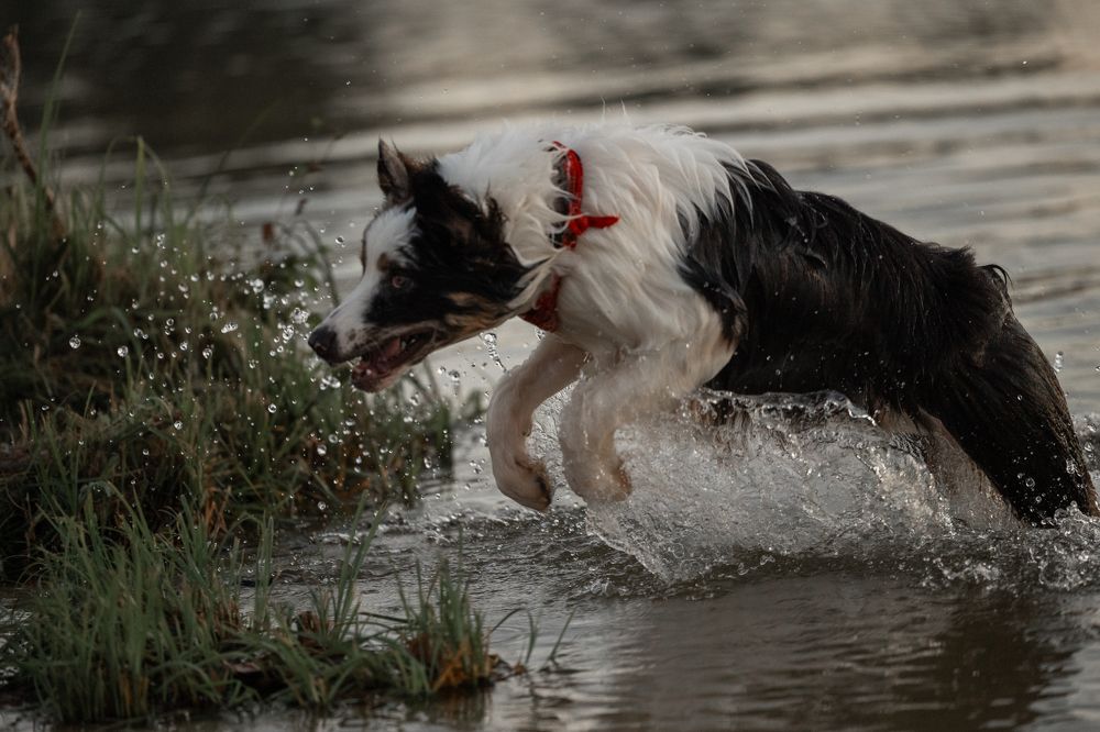 Photograph by Светлана Степашина
