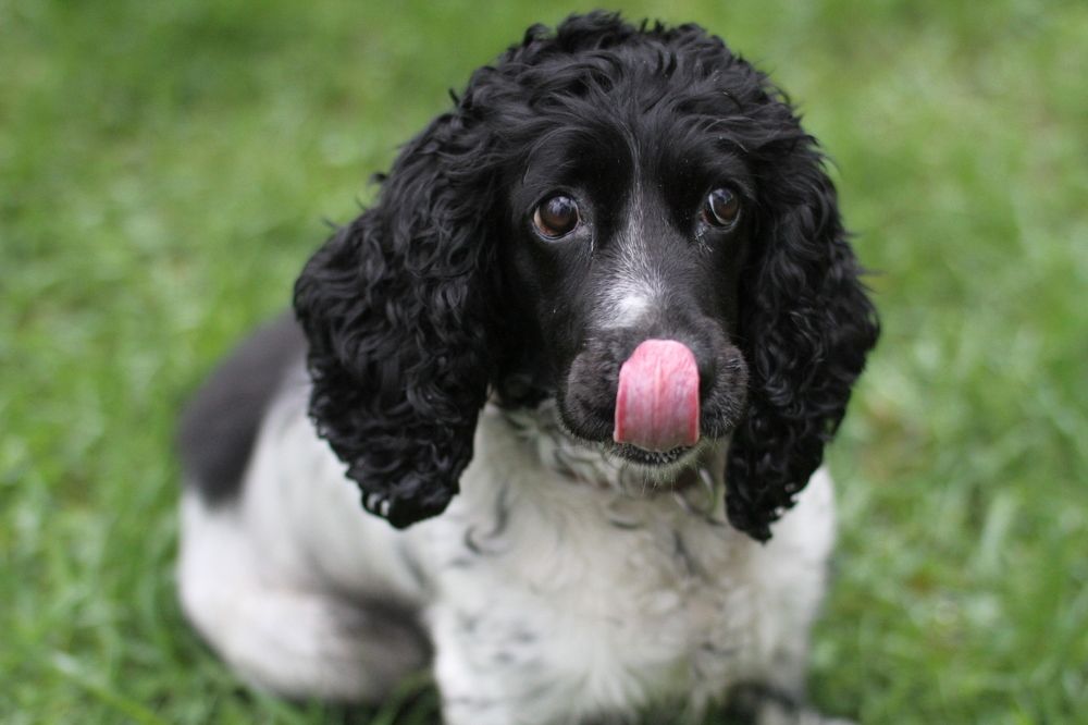 Photograph by Елизавета Мишина