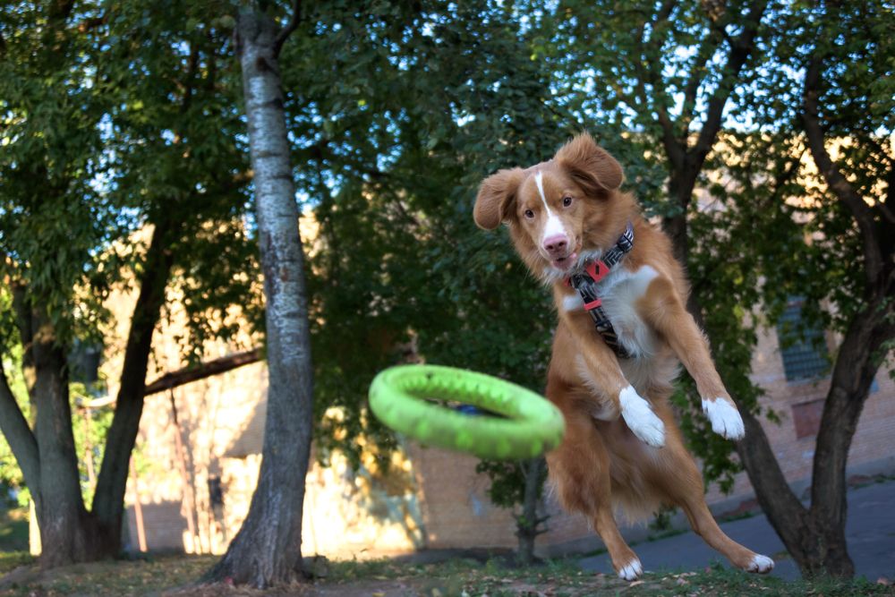 Photograph by Антон Бабичев