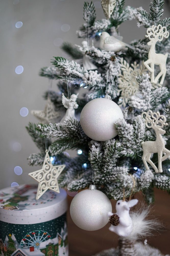 Photograph by Анастасия Позинич