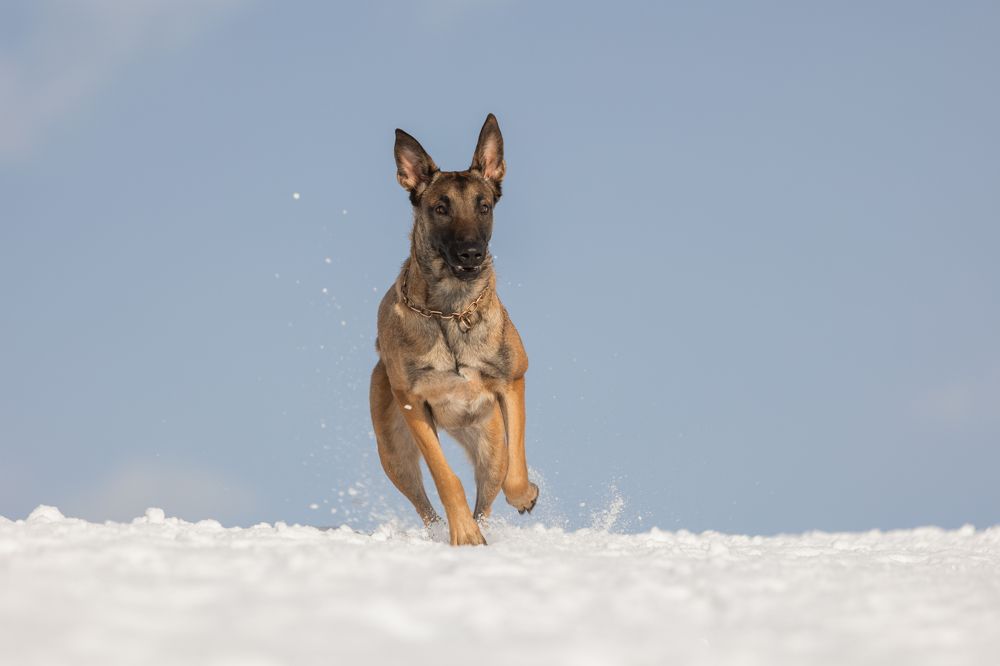 Photograph by Светлана Степашина