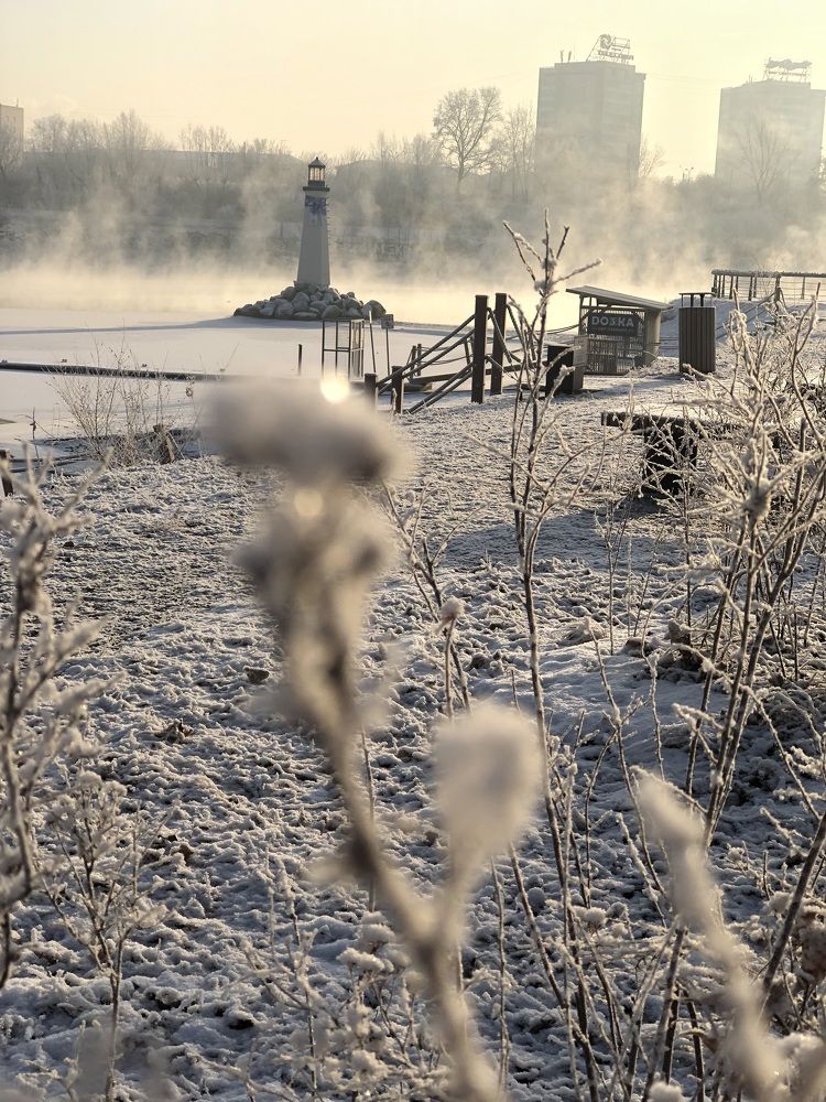 Фотография автора Светлана Гончарова