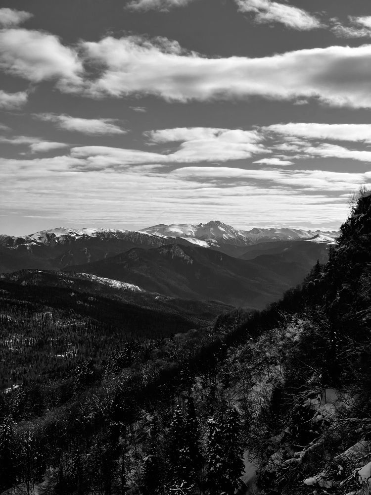 Photograph by Марина Фомичева