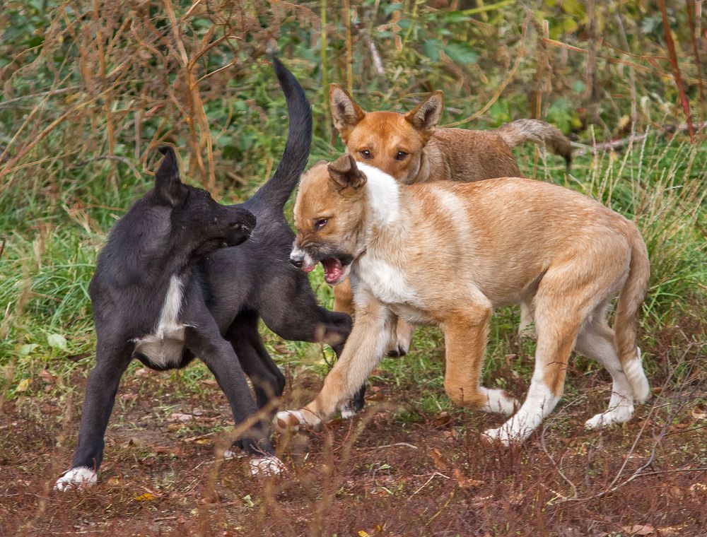 Photograph by Елена