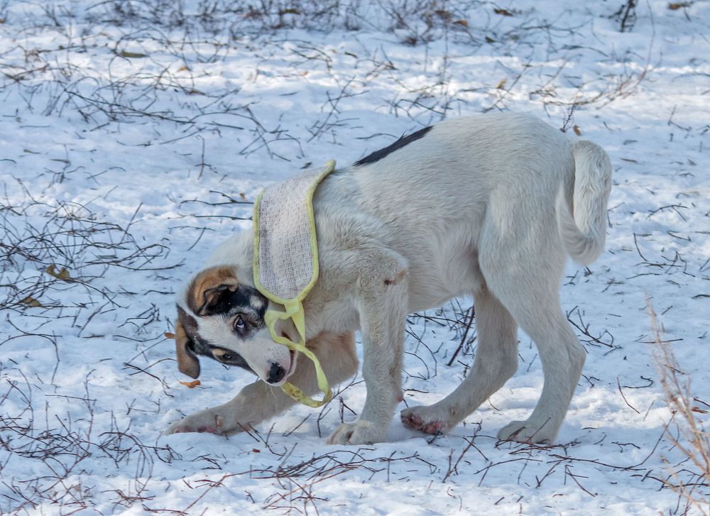 Photograph by Елена