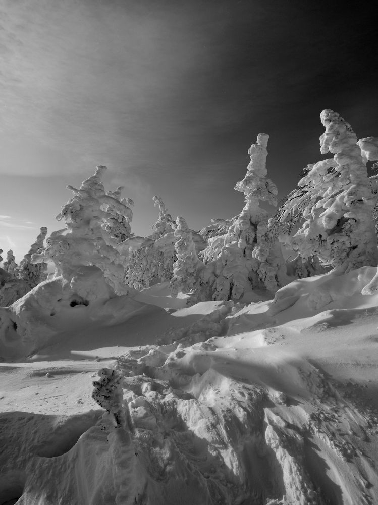 Photograph by Eлена Смирнова