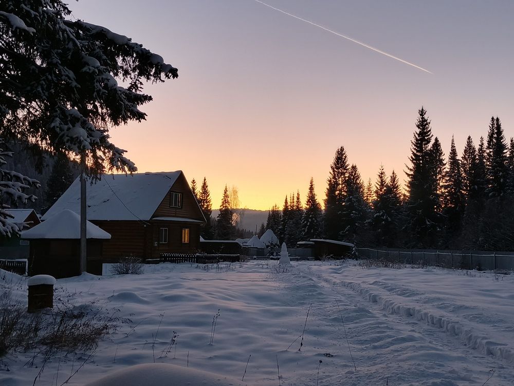 Photo #11613464