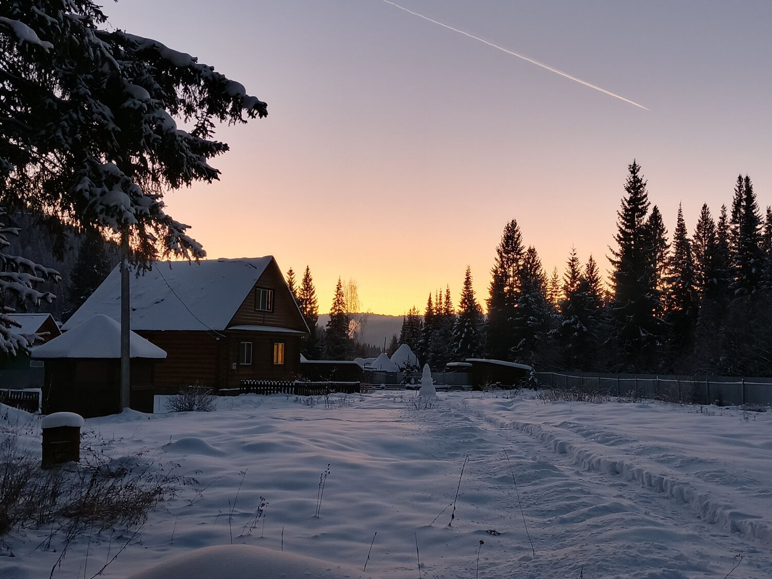 Photo #11613464