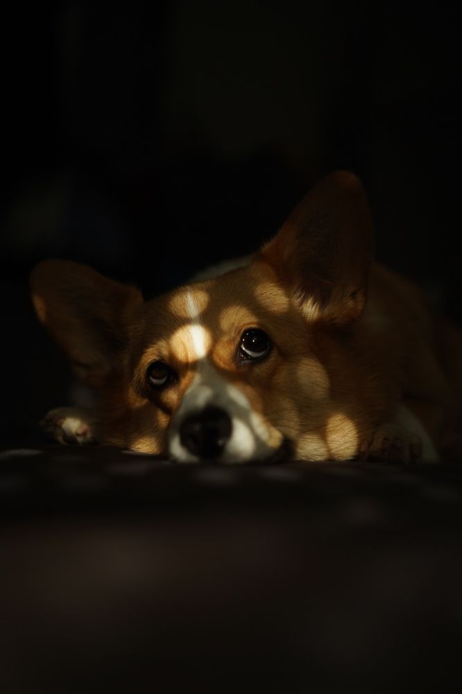 Photograph by Светлана Смирнова