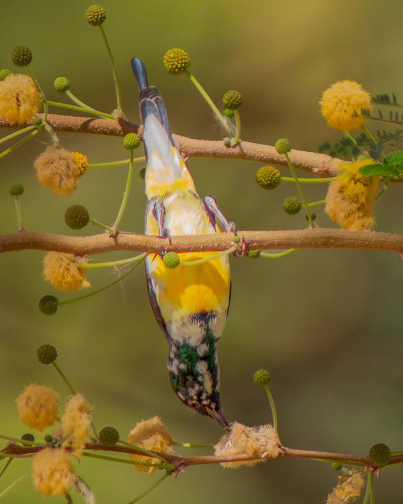 Photograph by Dina Eid