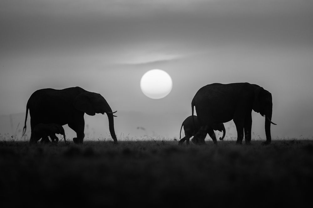 Photograph by Александр Кукринов