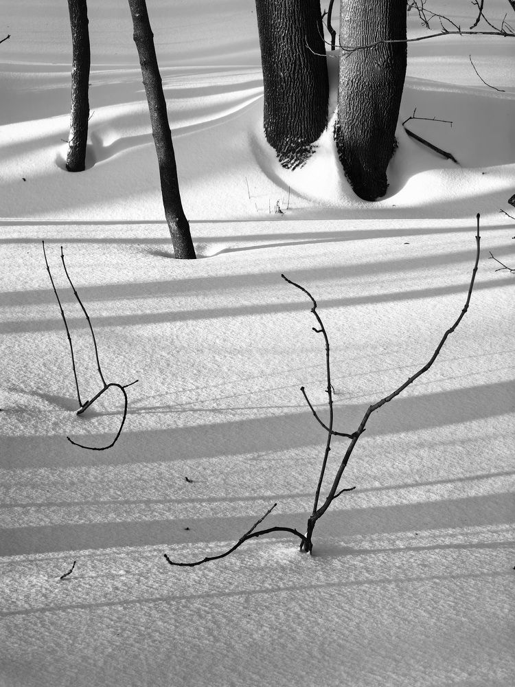 Photograph by Кристина Рыбина