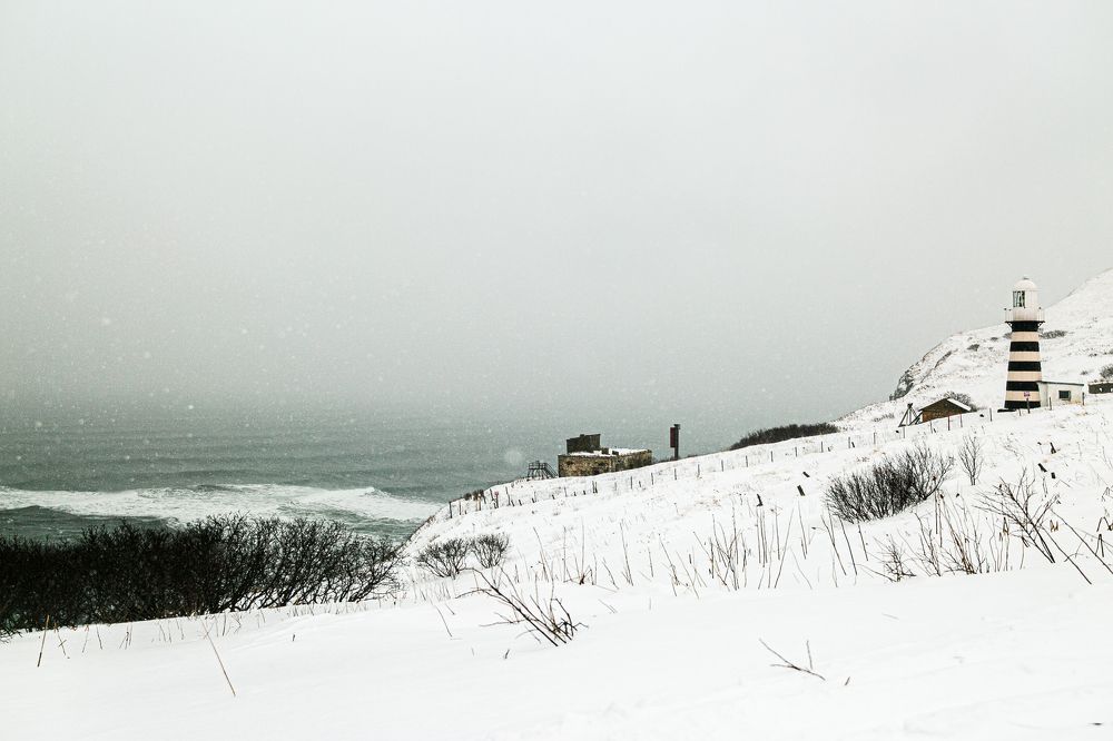 Photograph by Alla Fedina