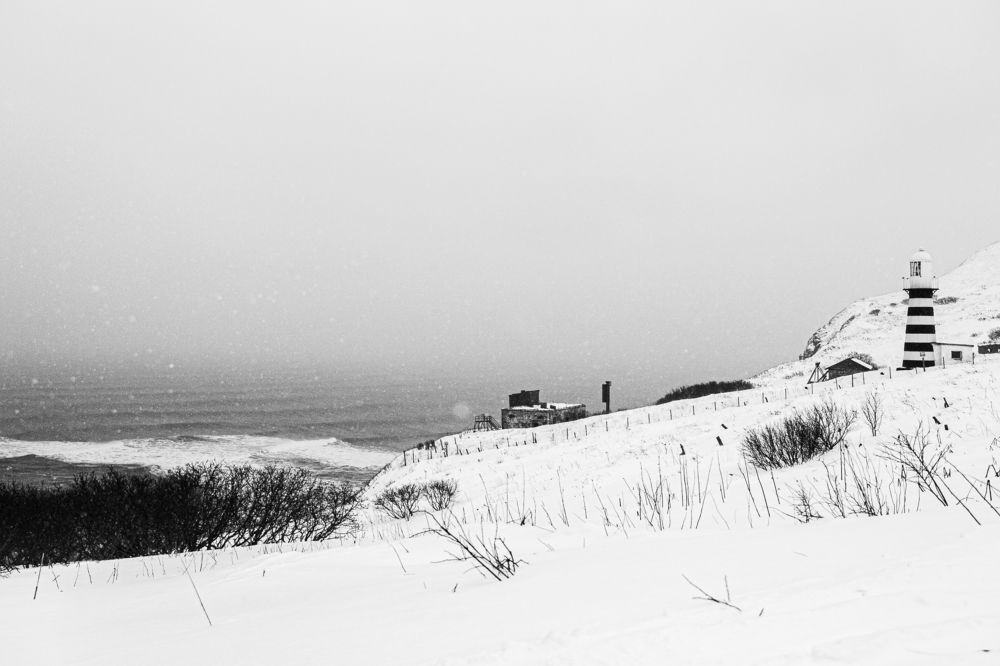 Photograph by Alla Fedina