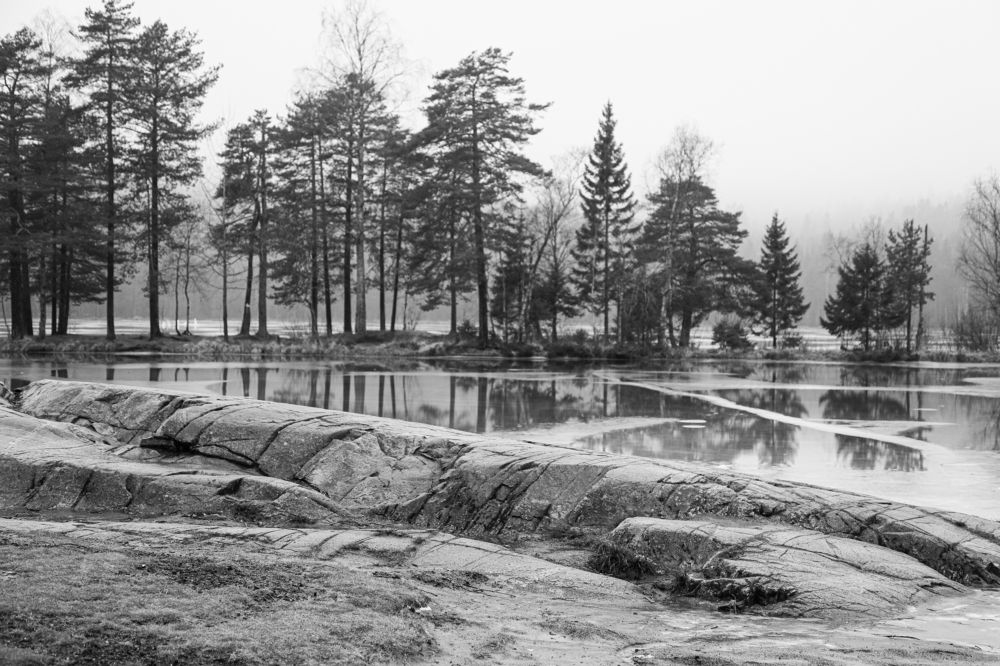 Photograph by Alla Fedina