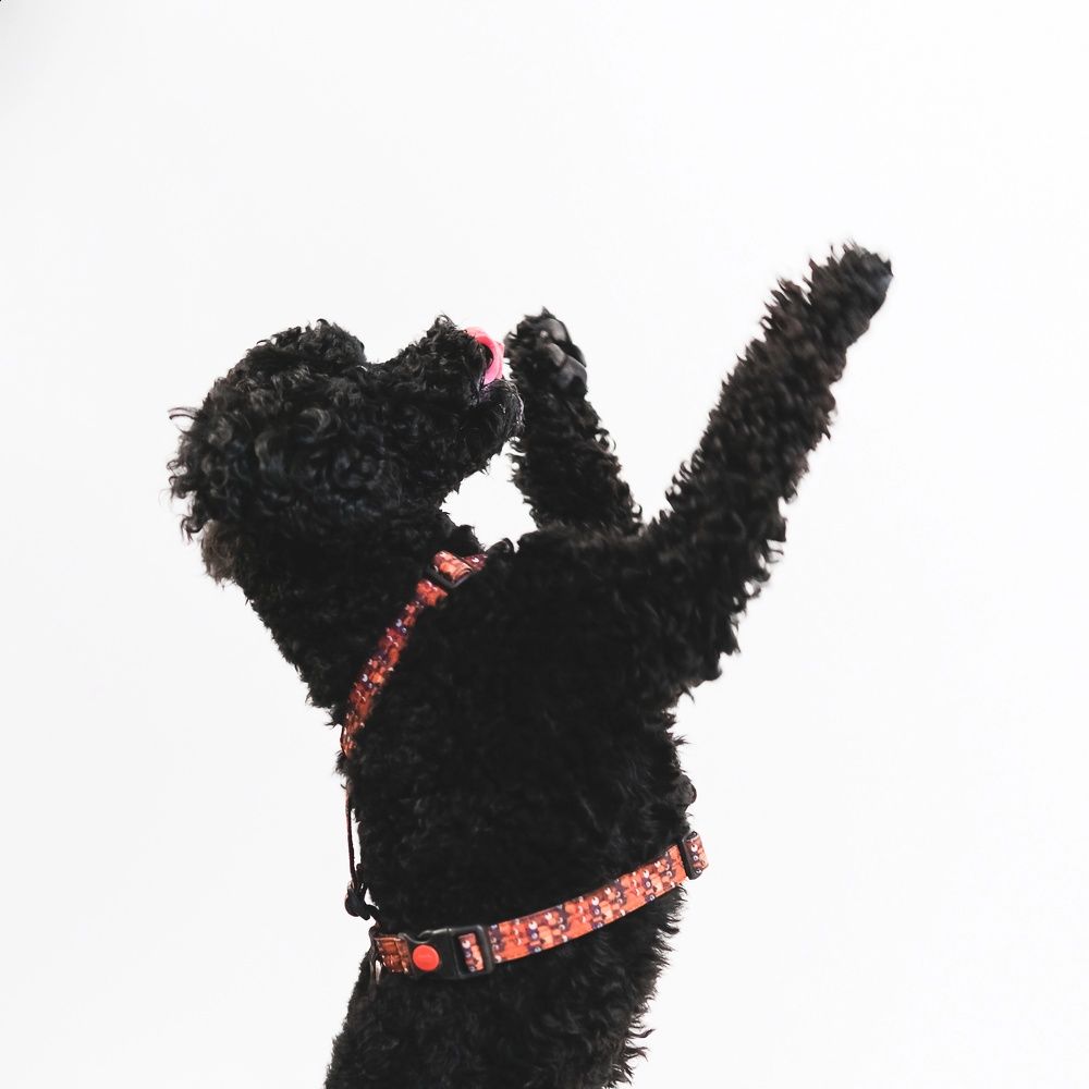 Photograph by Анастасия Черкасова