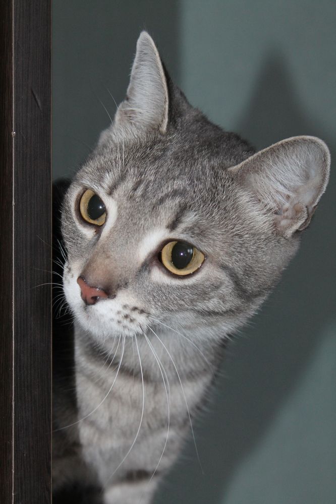 Photograph by Евгения Сараева