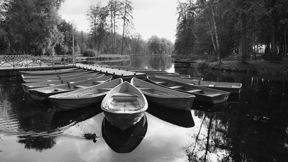 Photograph by Валерий Верещако