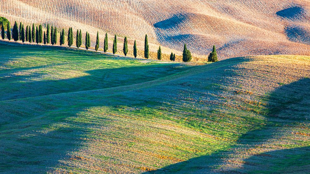 Photograph by Геннадий