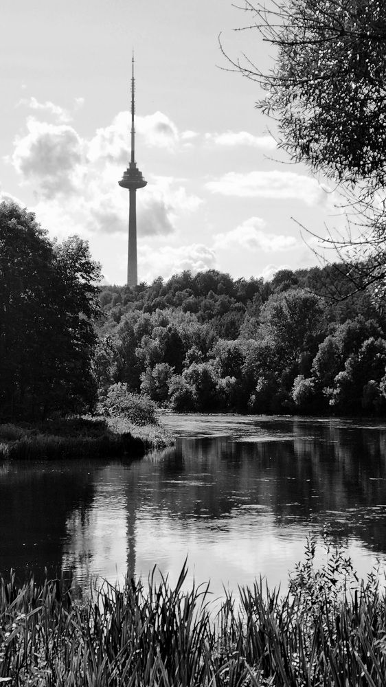 Photograph by Elena Tamošauskaite