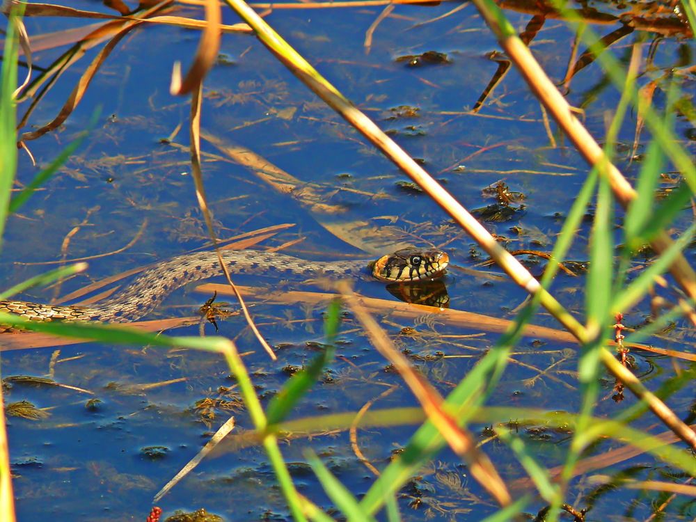 С добрым утром.