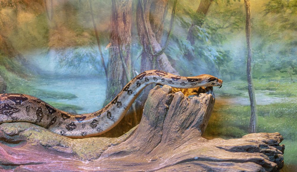 Photograph by Светлана Мельник