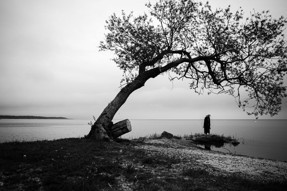 Photograph by Skaiste Dalmantiene