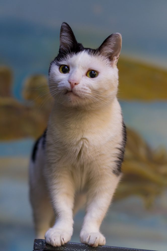 Photograph by Оксана Макарова