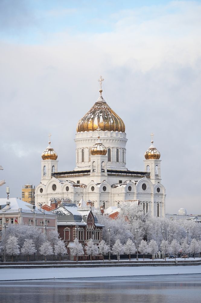 Фотография автора Светлана Зимина
