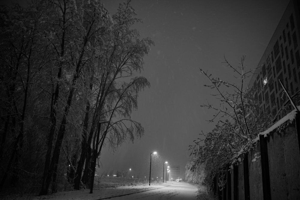 Photograph by Александр Шалагин