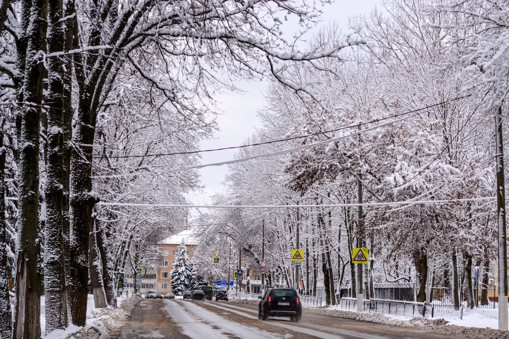 Photograph by Анастасия Гурова