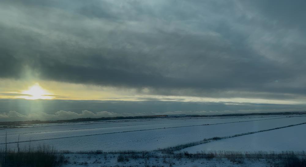 Photograph by Алина Мец