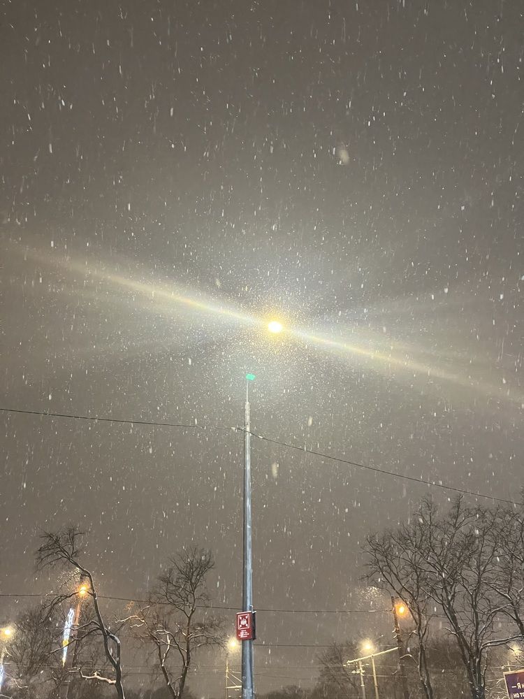 Photograph by Алина Мец