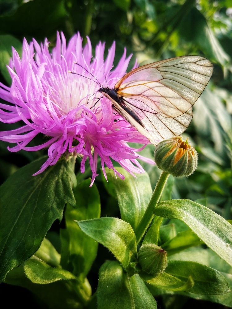 Photograph by Артем Харисов