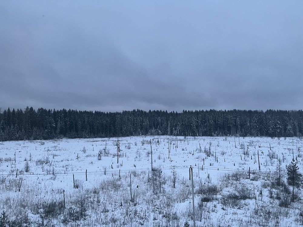 Photograph by Алина Мец