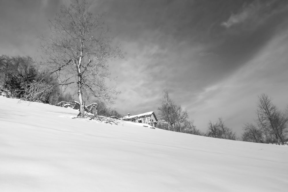 Photograph by Bilal Akbulut