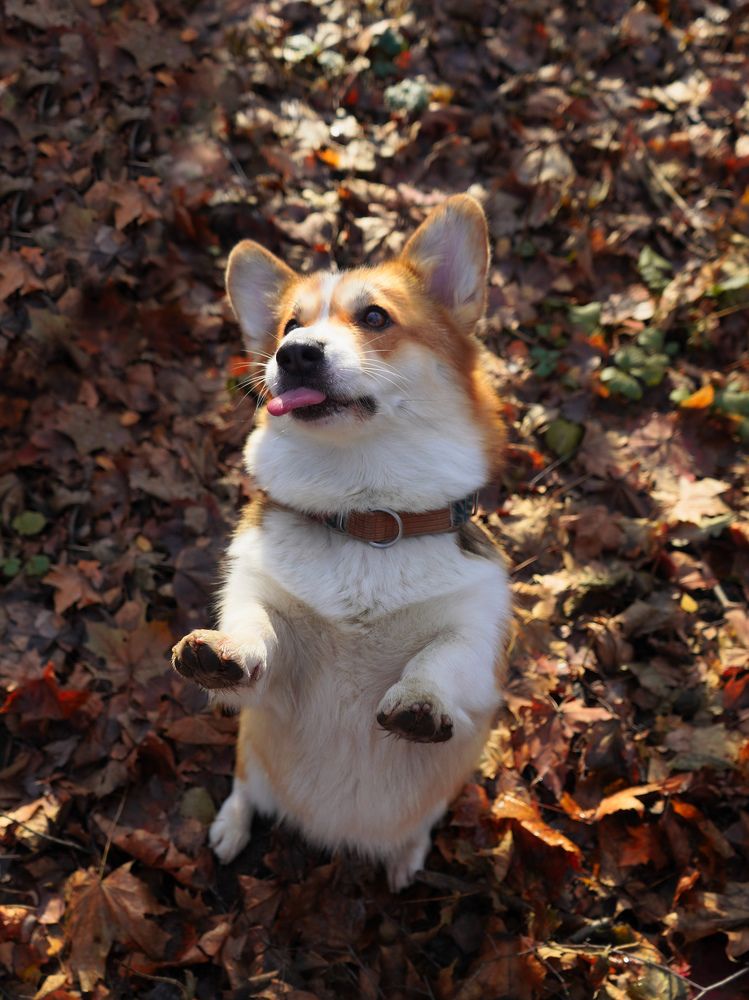 Photograph by Светлана Смирнова