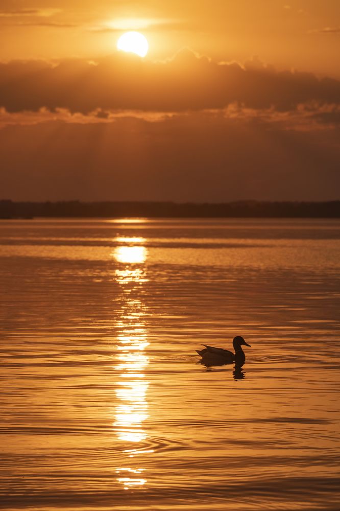 Photograph by Максим Сорокин