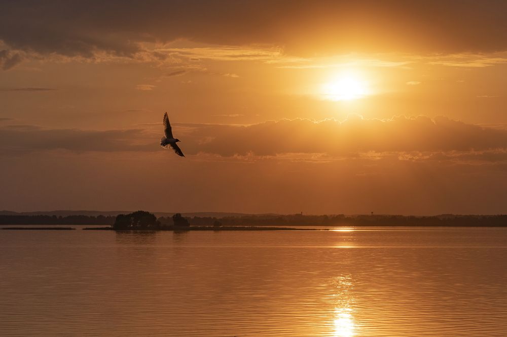 Photograph by Максим Сорокин