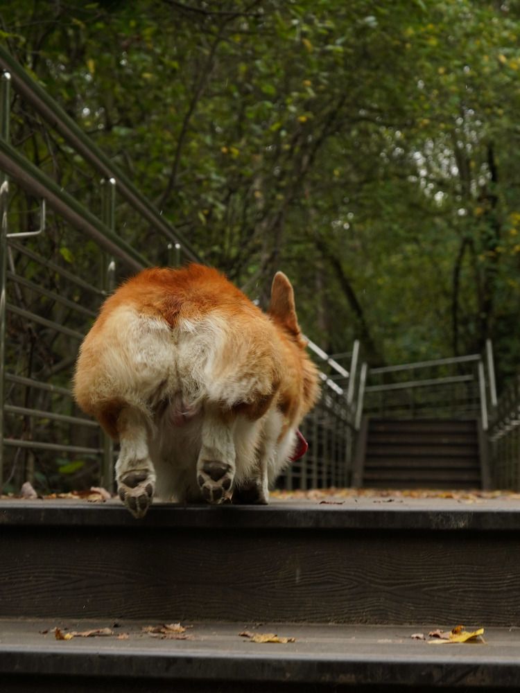 Photograph by Светлана Смирнова